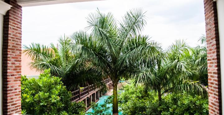 Mango Hill Pondicherry Dış mekan fotoğraf